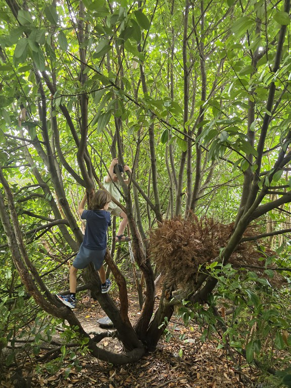 Kunstenmakers op Jungle expeditie 1.jpeg