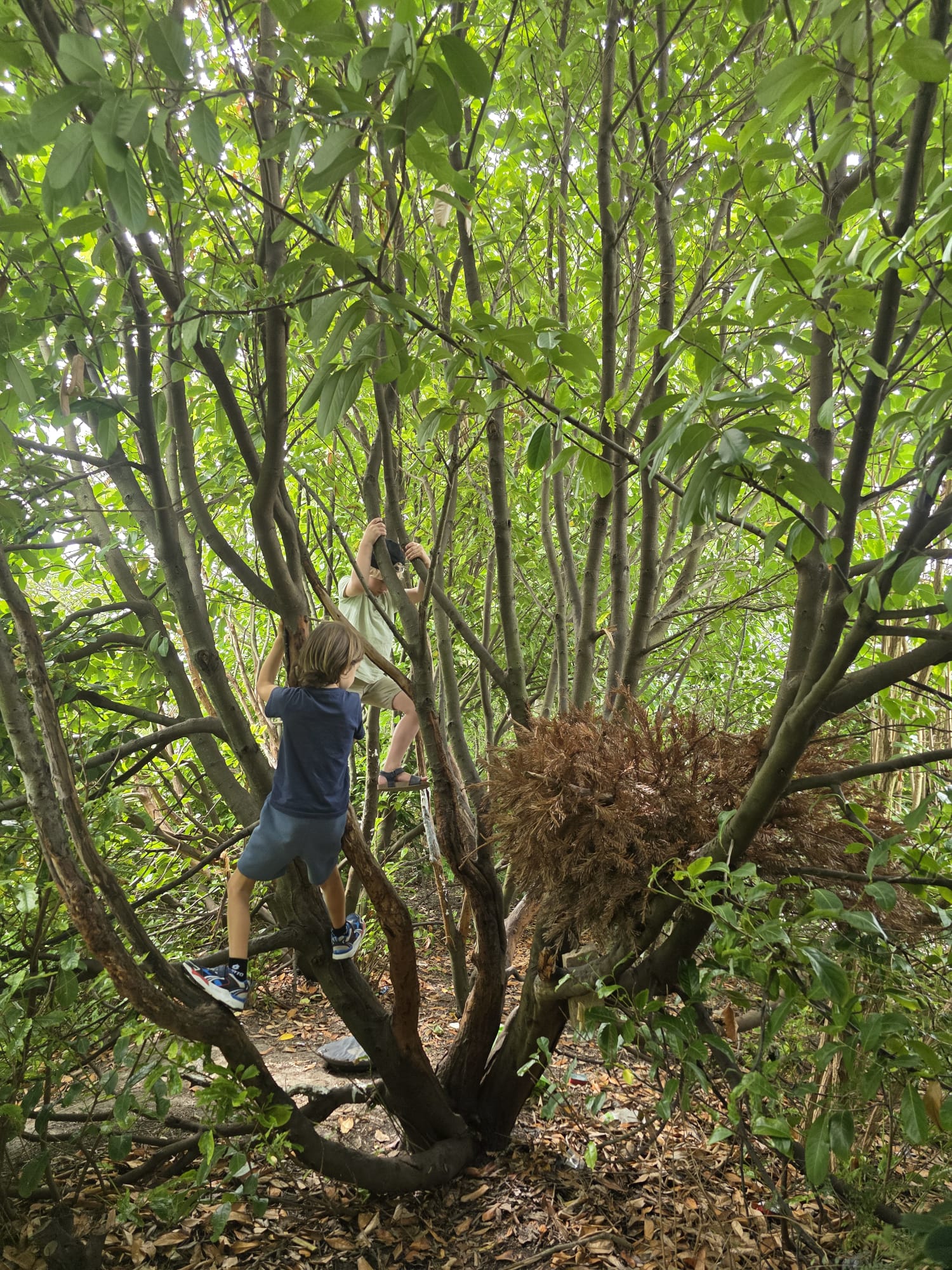 Kunstenmakers op Jungle expeditie 1.jpeg
