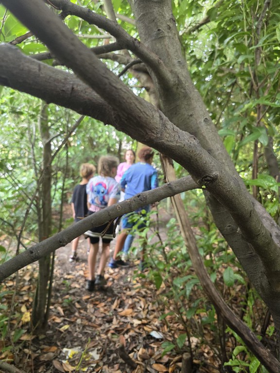 Kunstenmakers op Jungle expeditie 2.jpeg