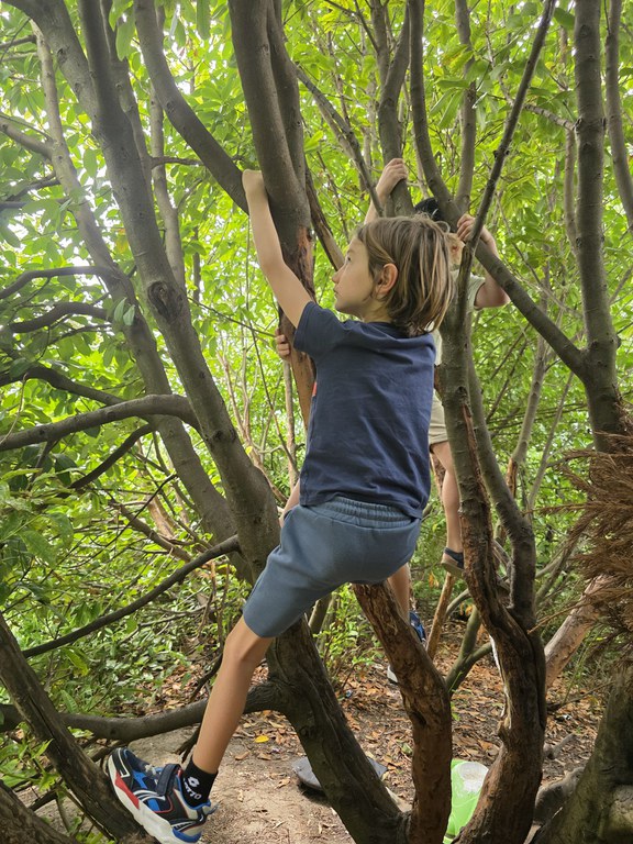 Kunstenmakers op Jungle expeditie 3.jpeg